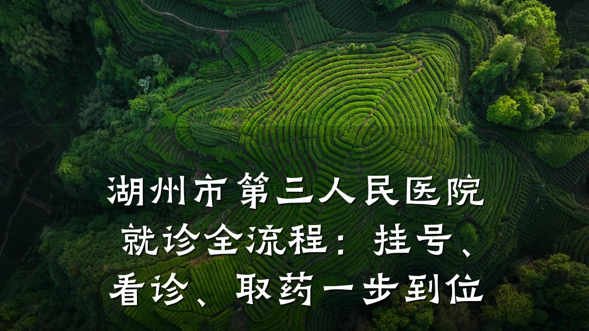 湖州市第三人民医院就诊全流程:挂号、看诊、取药一步到位