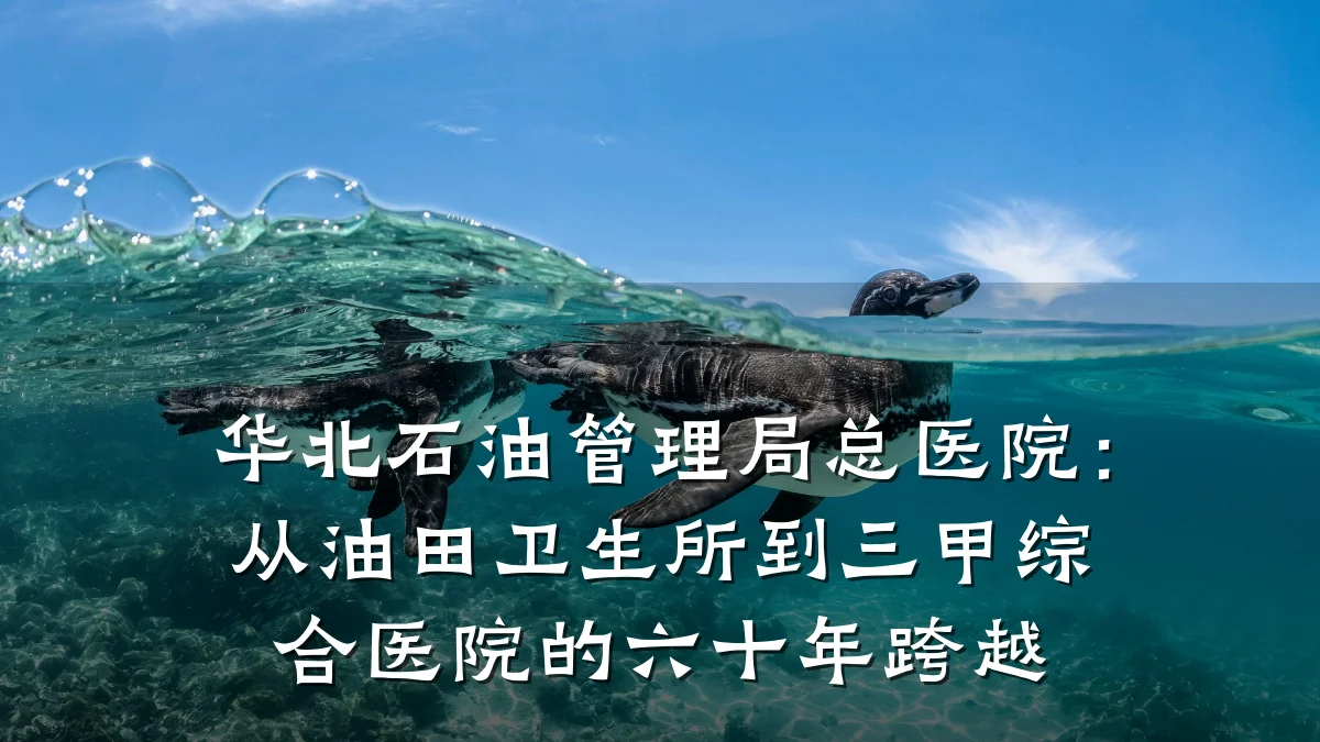 华北石油管理局总医院:从油田卫生所到三甲综合医院的六十年跨越