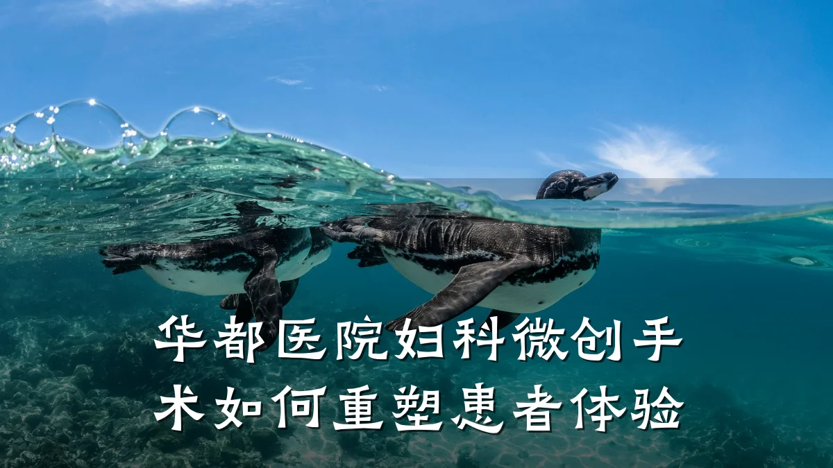 华都医院妇科微创手术如何重塑患者体验