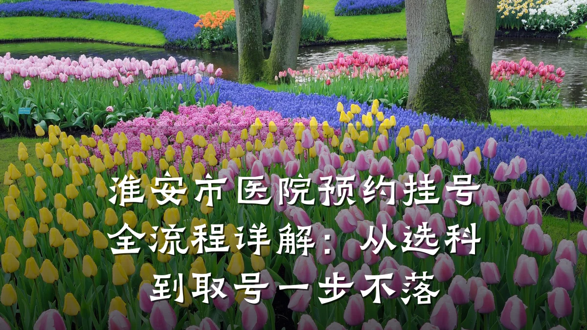 淮安市医院预约挂号全流程详解:从选科到取号一步不落