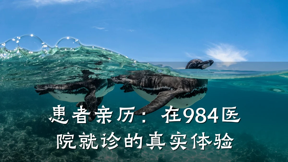 患者亲历：在984医院就诊的真实体验