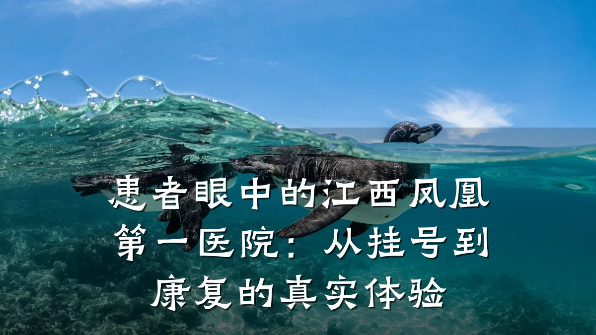患者眼中的江西凤凰第一医院:从挂号到康复的真实体验