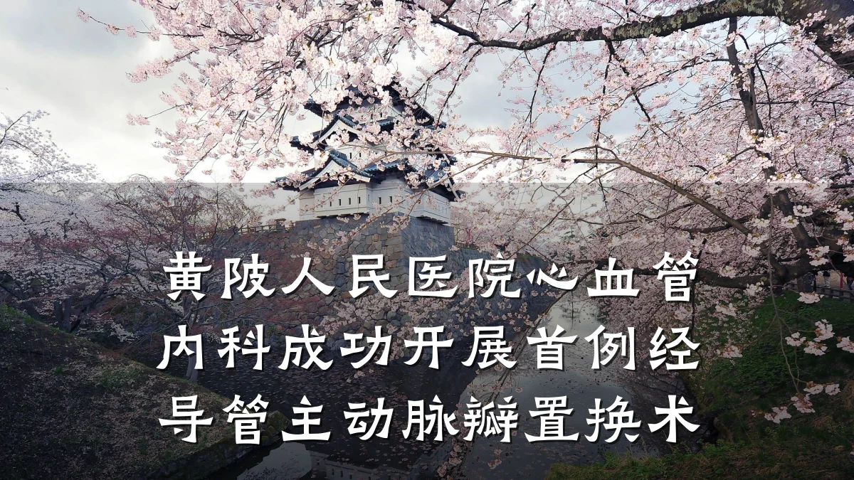 黄陂人民医院心血管内科成功开展首例经导管主动脉瓣置换术