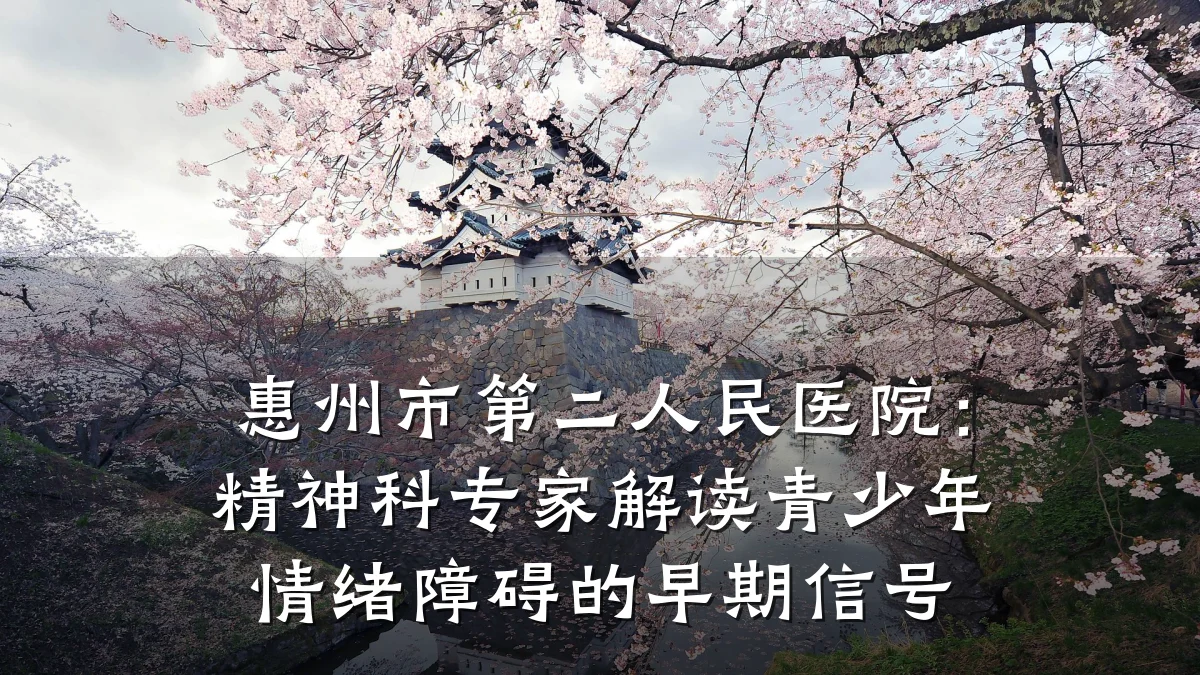 惠州市第二人民医院:精神科专家解读青少年情绪障碍的早期信号