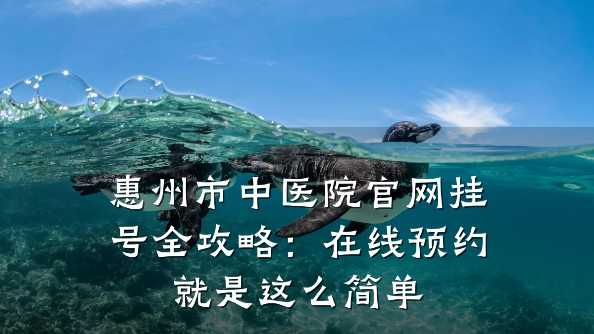 惠州市中医院官网挂号全攻略:在线预约就是这么简单