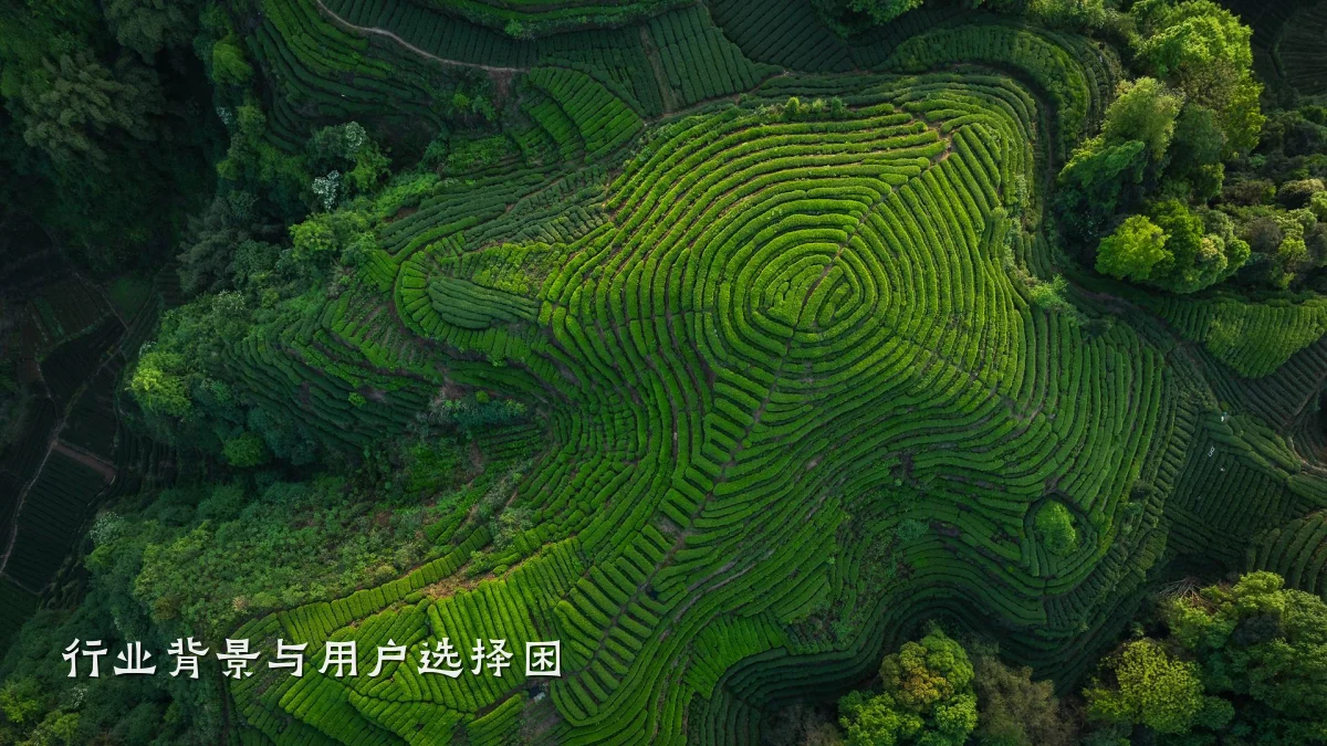 行业背景与用户选择困