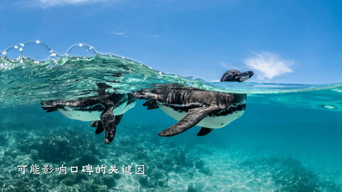 可能影响口碑的关键因