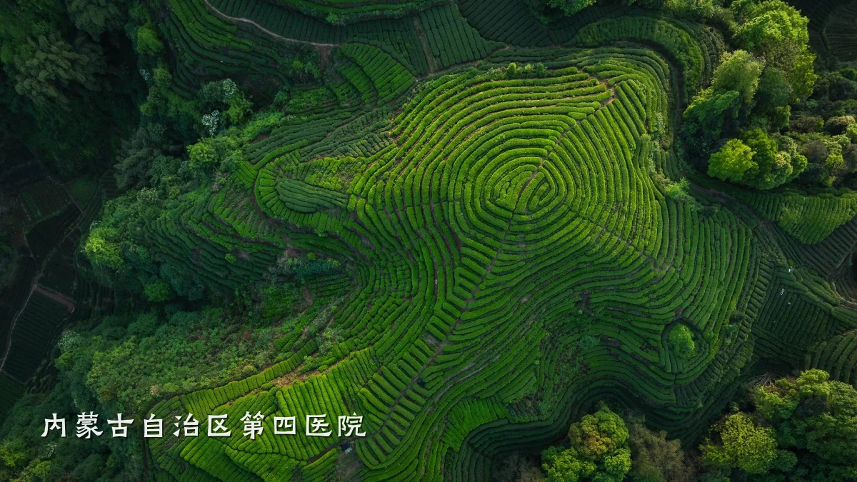内蒙古自治区第四医院