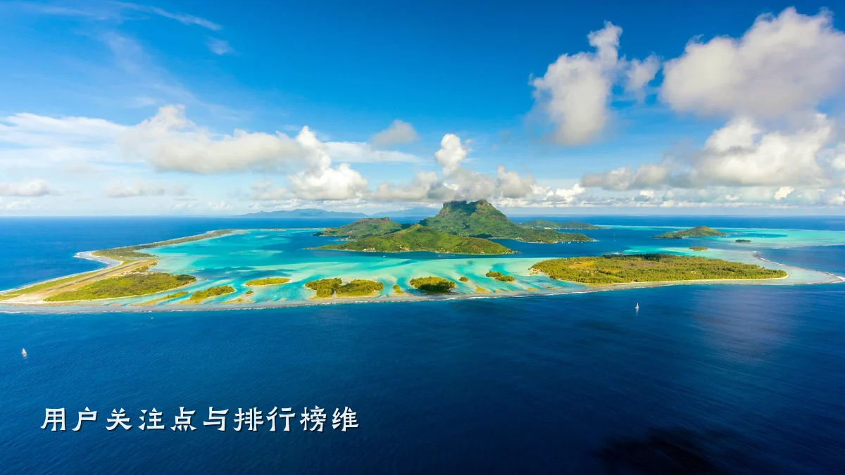 用户关注点与排行榜维