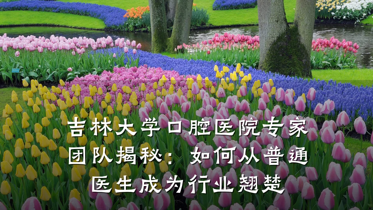 吉林大学口腔医院专家团队揭秘:如何从普通医生成为行业翘楚