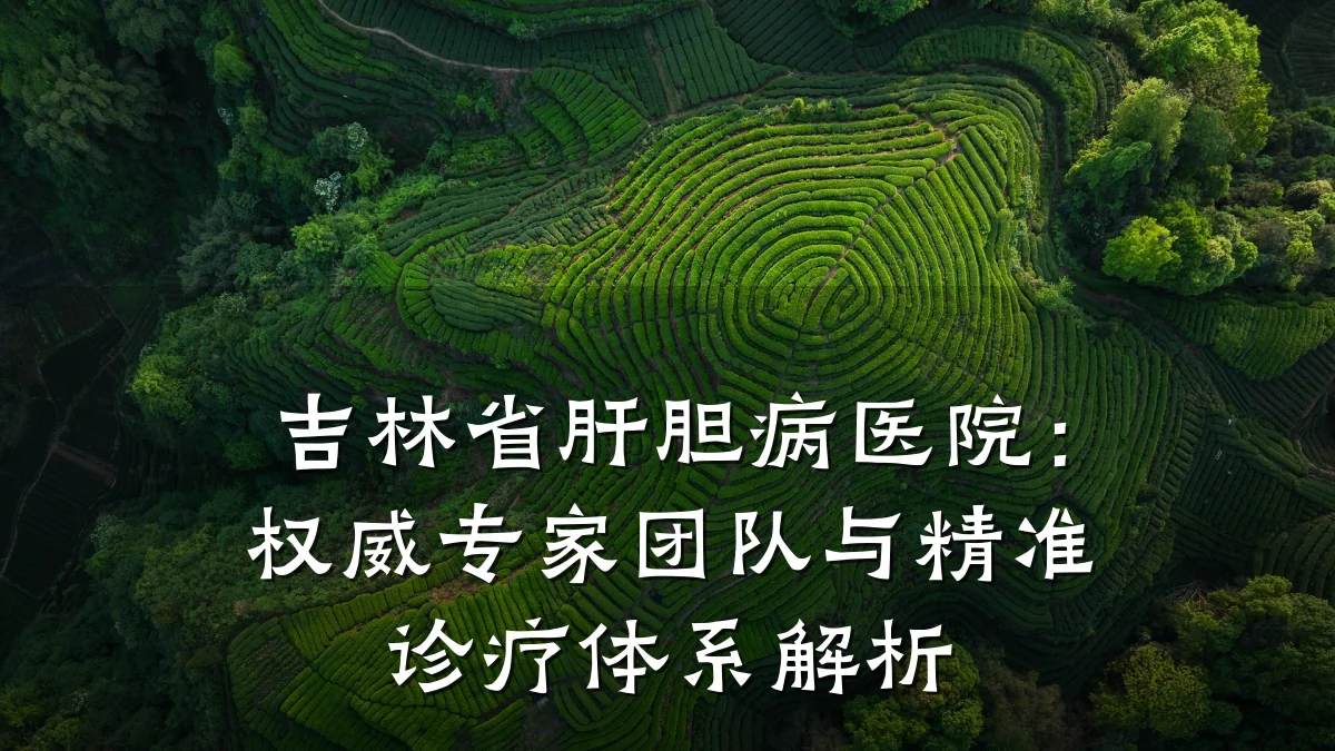 吉林省肝胆病医院：权威专家团队与精准诊疗体系解析