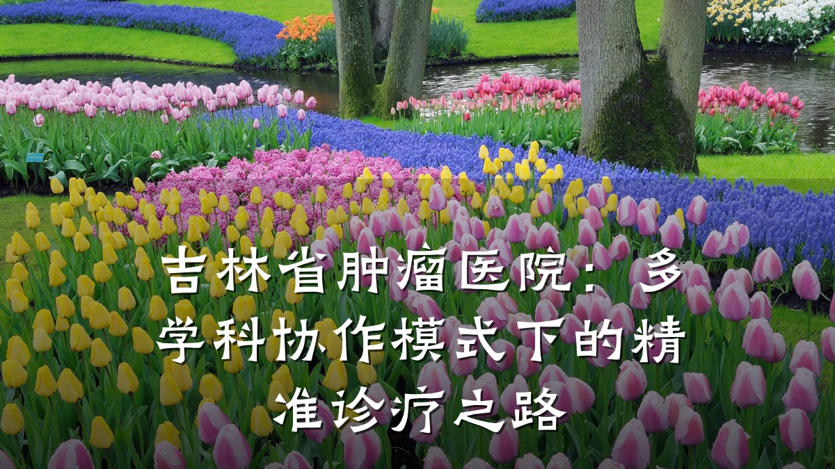 吉林省肿瘤医院:多学科协作模式下的精准诊疗之路