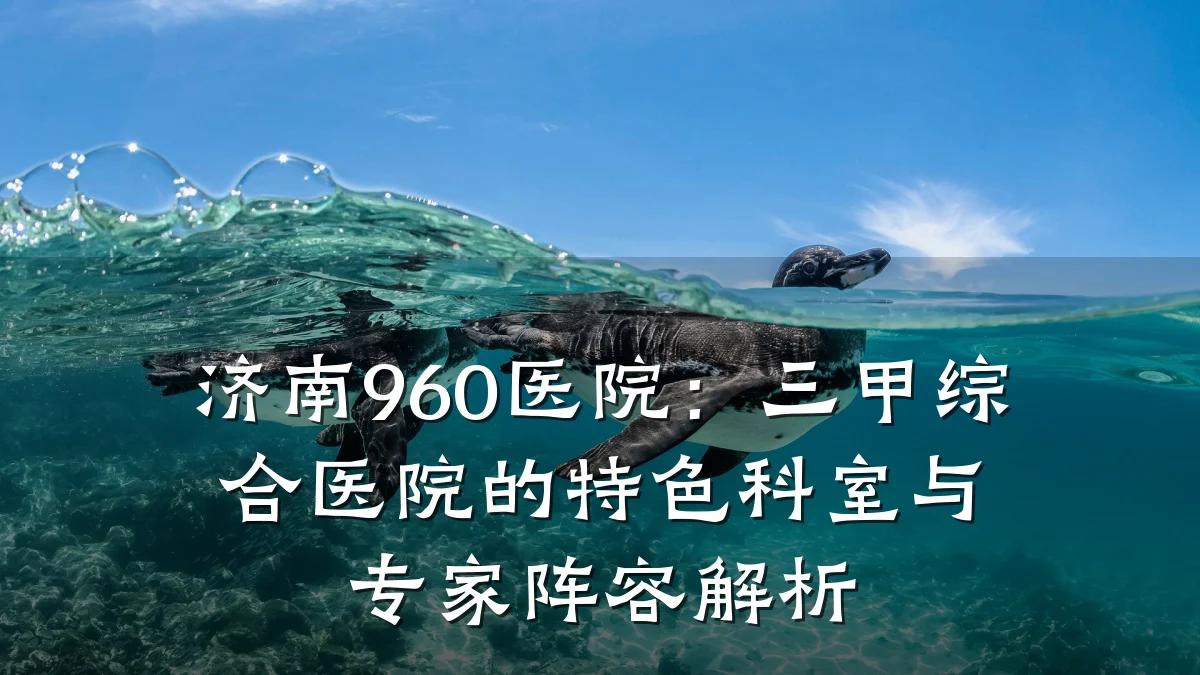 济南960医院:三甲综合医院的特色科室与专家阵容解析