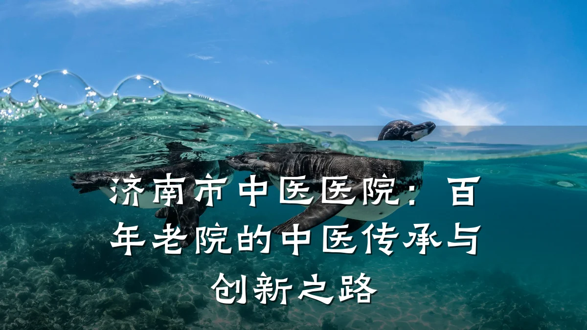 济南市中医医院:百年老院的中医传承与创新之路