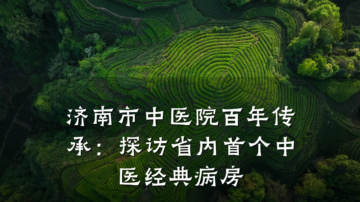 济南市中医院百年传承:探访省内首个中医经典病房