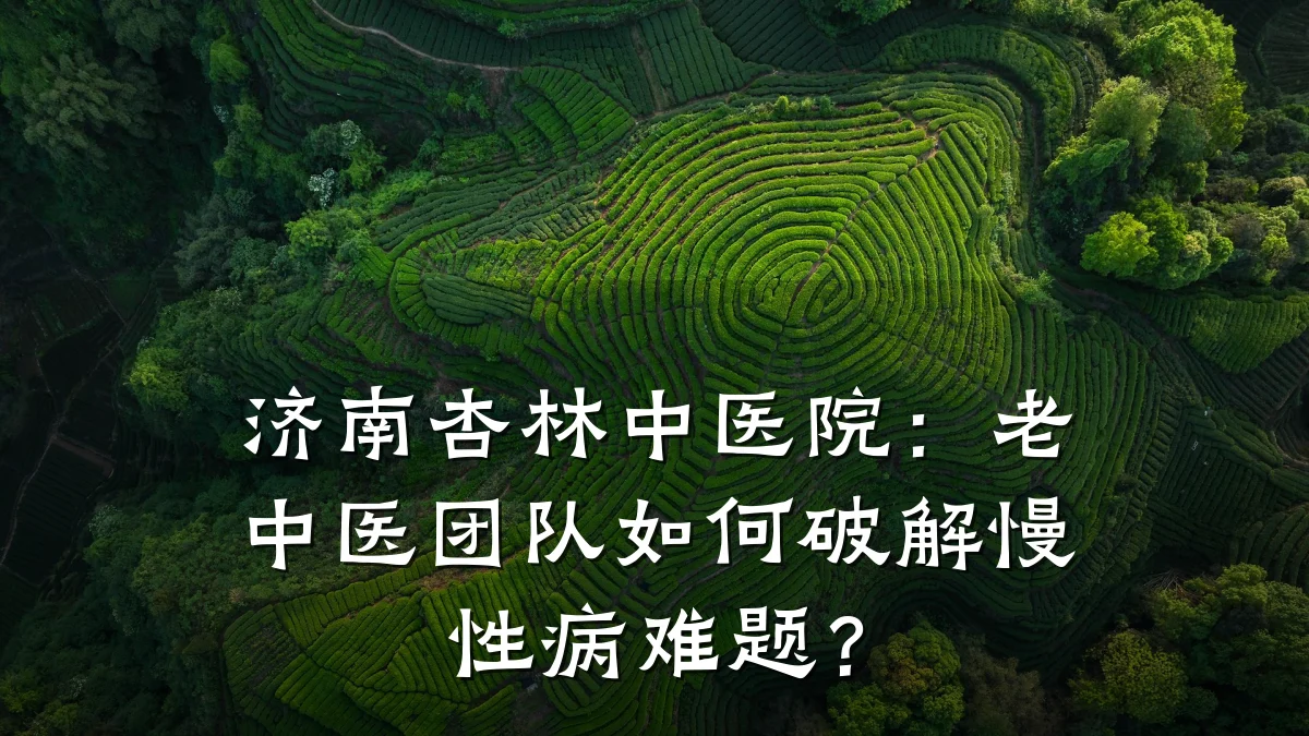 济南杏林中医院:老中医团队如何破解慢性病难题?
