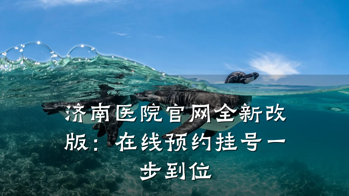济南医院官网全新改版:在线预约挂号一步到位
