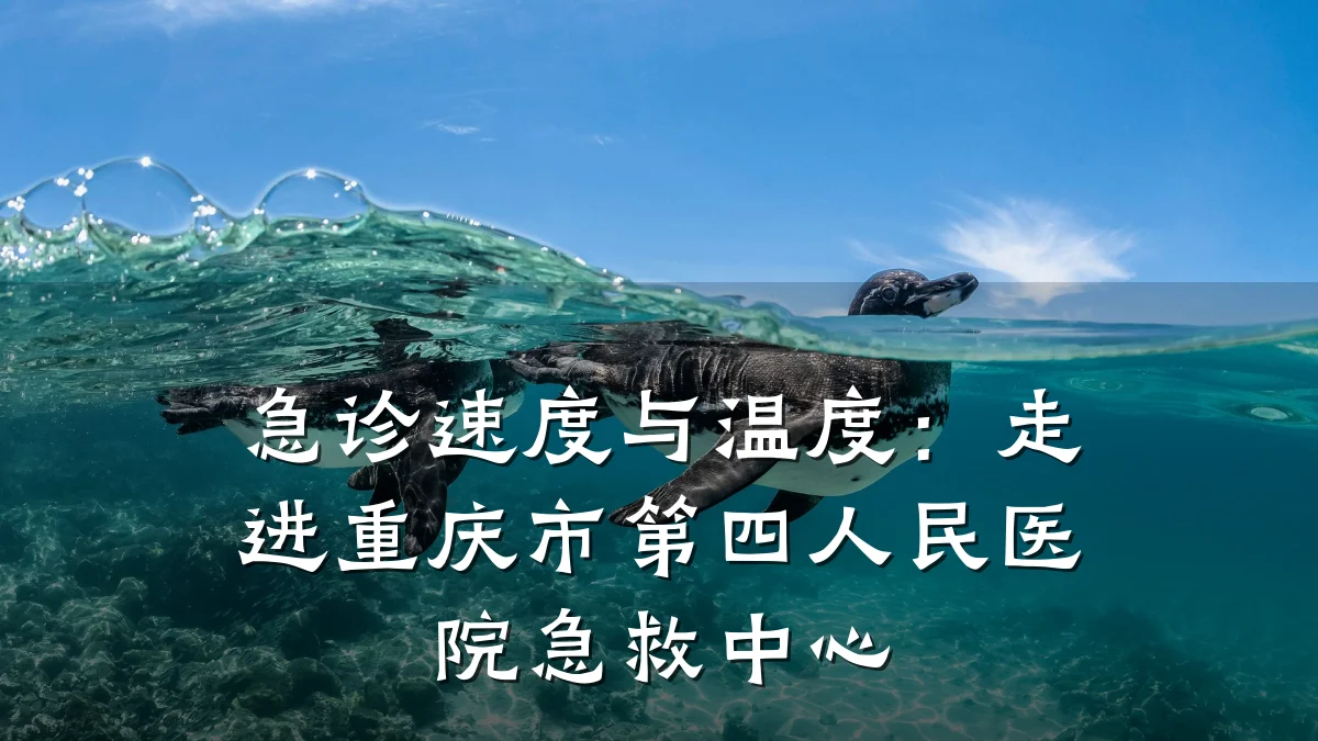 急诊速度与温度：走进重庆市第四人民医院急救中心