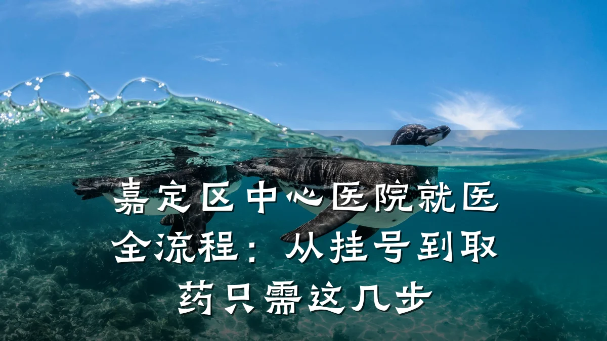 嘉定区中心医院就医全流程:从挂号到取药只需这几步