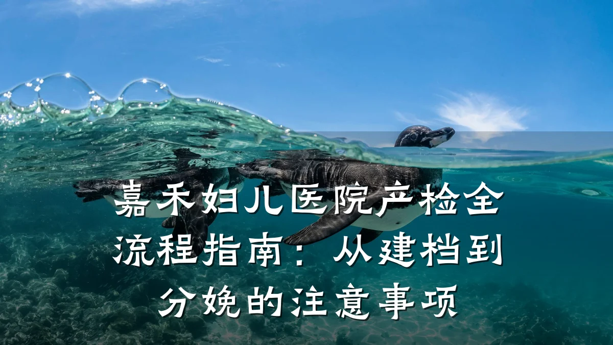 嘉禾妇儿医院产检全流程指南：从建档到分娩的注意事项
