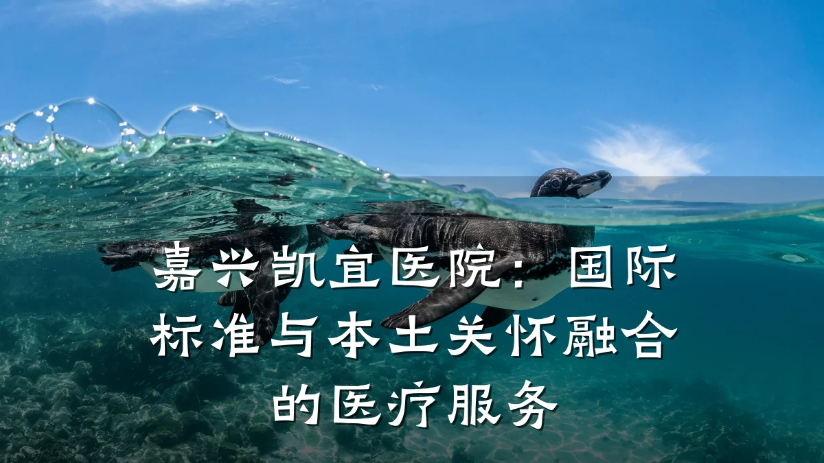 嘉兴凯宜医院:国际标准与本土关怀融合的医疗服务