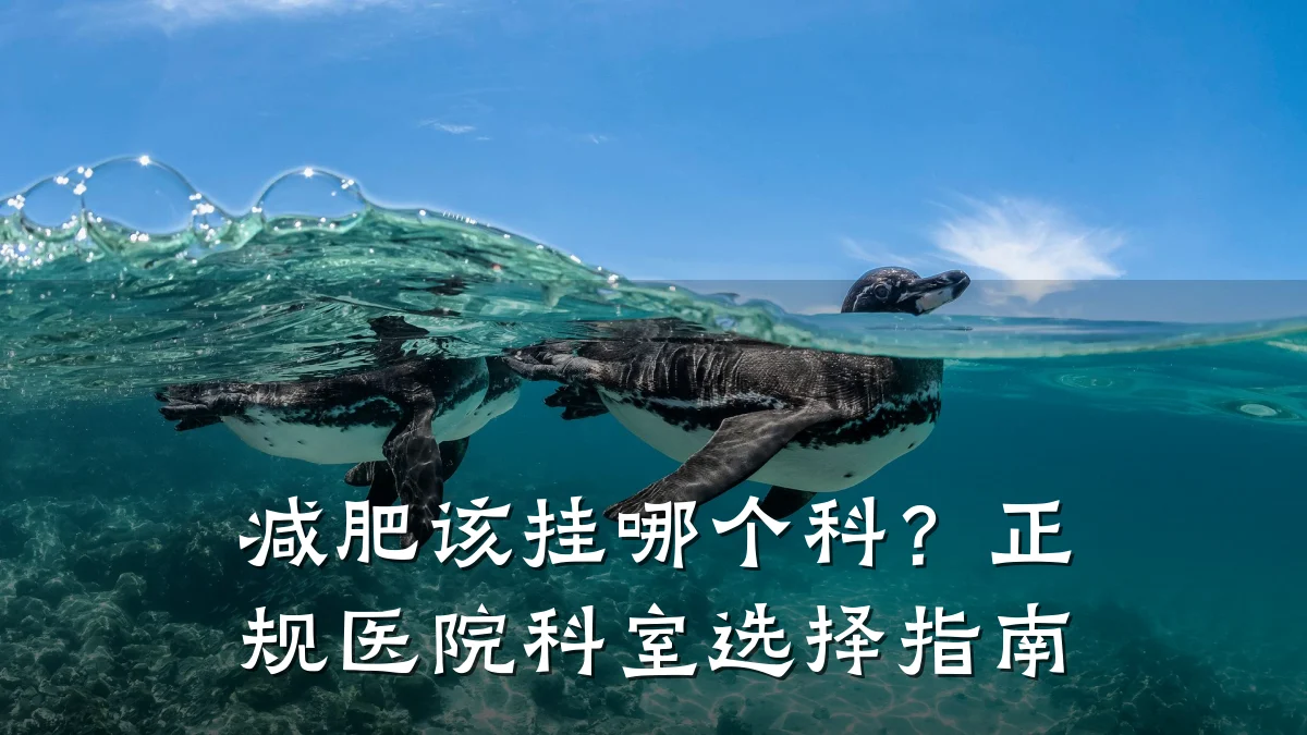 减肥该挂哪个科?正规医院科室选择指南