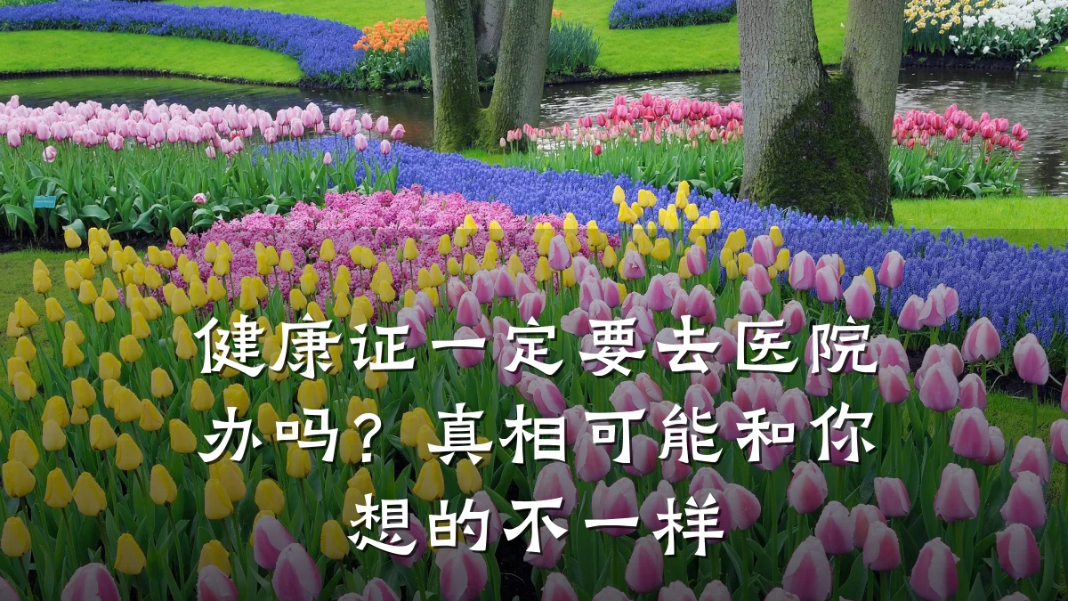 健康证一定要去医院办吗？真相可能和你想的不一样