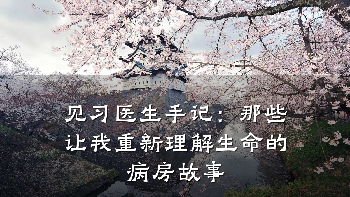 见习医生手记:那些让我重新理解生命的病房故事