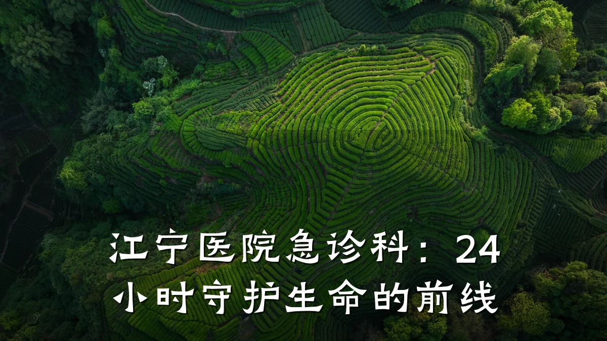 江宁医院急诊科:24小时守护生命的前线