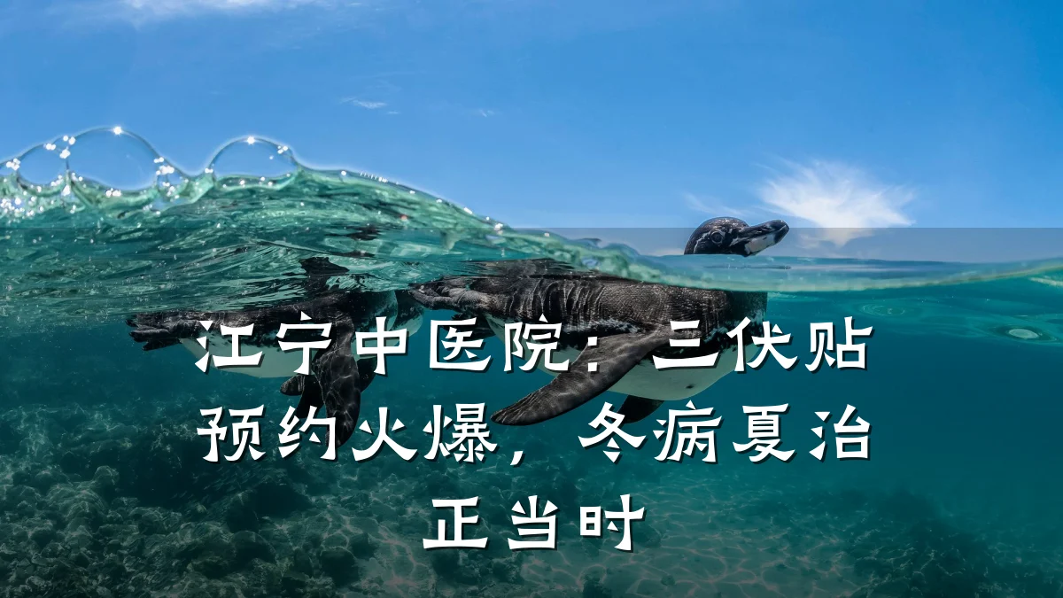 江宁中医院：三伏贴预约火爆，冬病夏治正当时