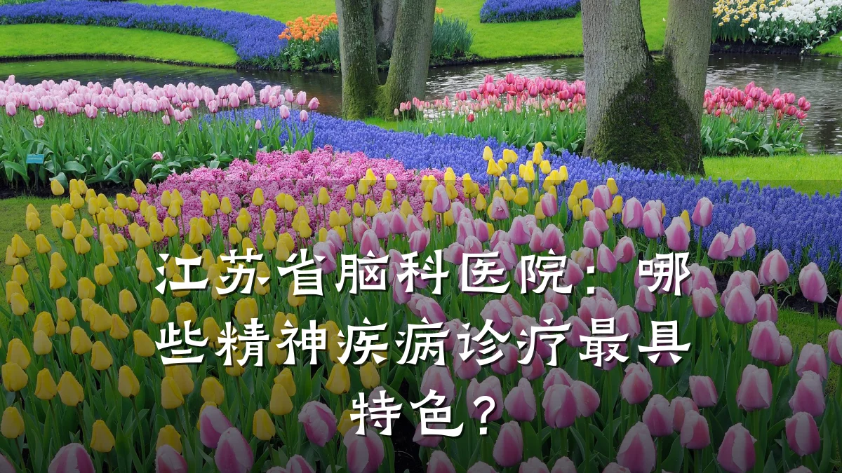 江苏省脑科医院:哪些精神疾病诊疗最具特色?