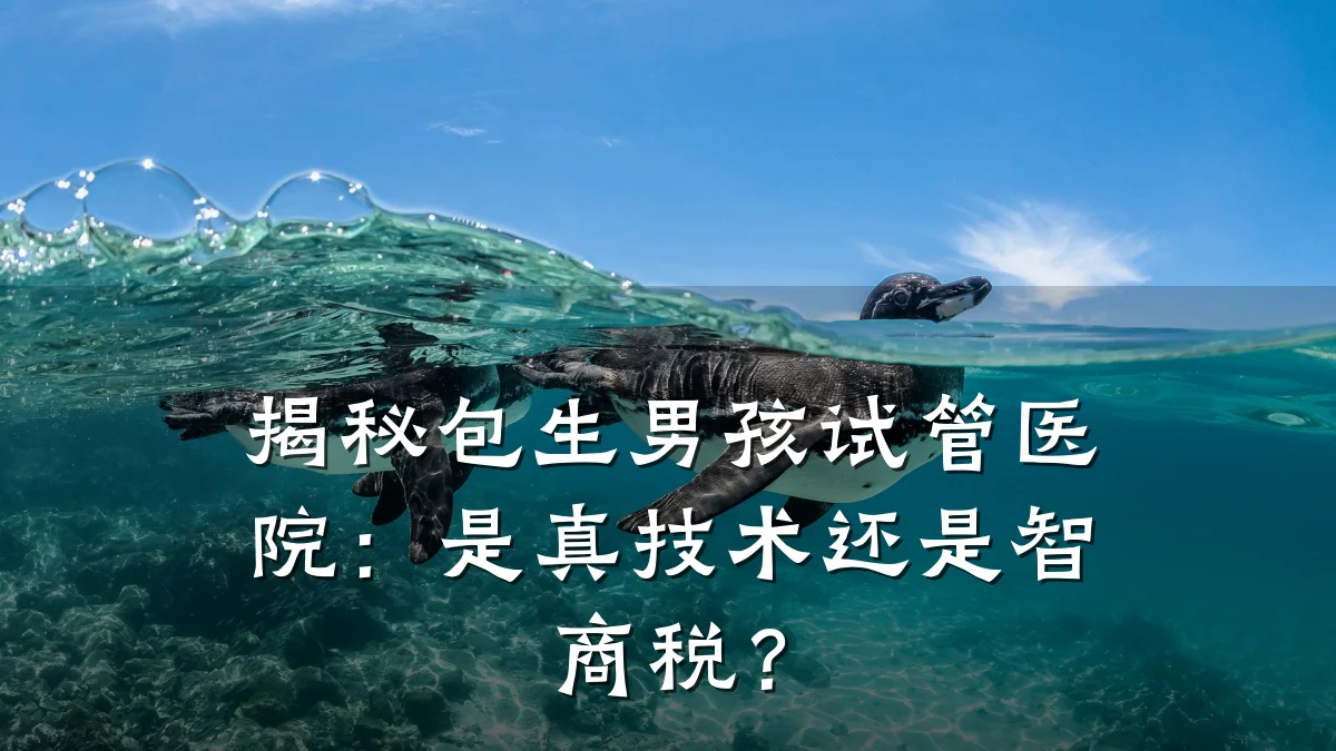 揭秘包生男孩试管医院：是真技术还是智商税？