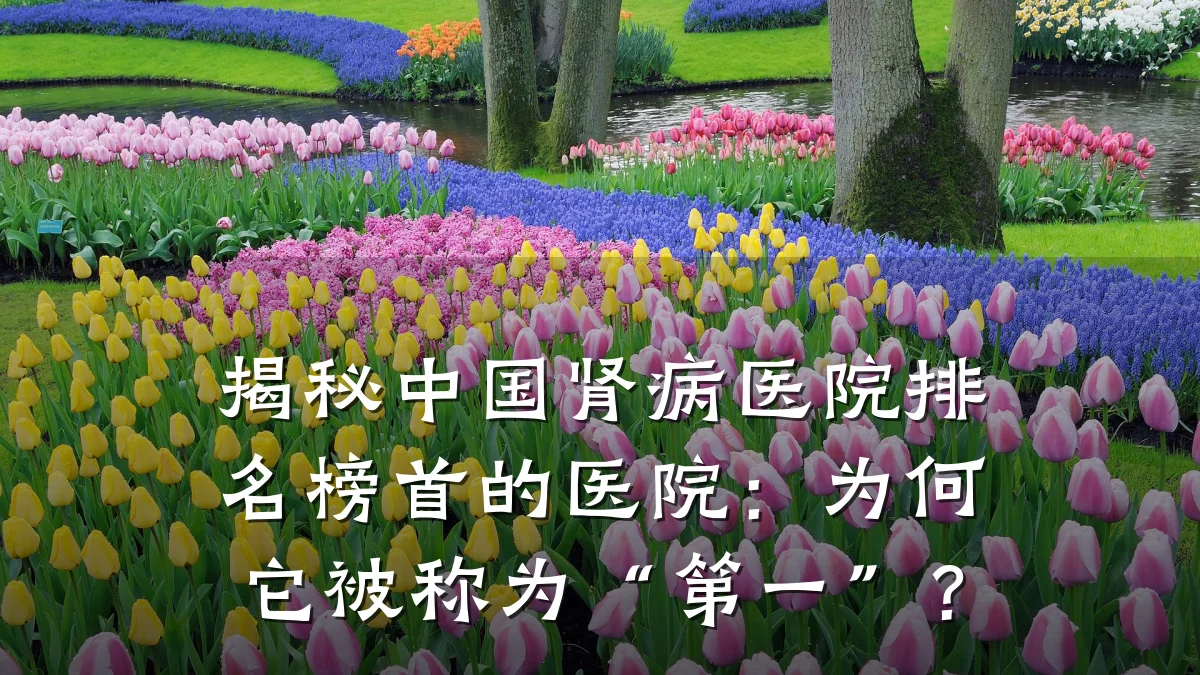 揭秘中国肾病医院排名榜首的医院：为何它被称为“第一”？