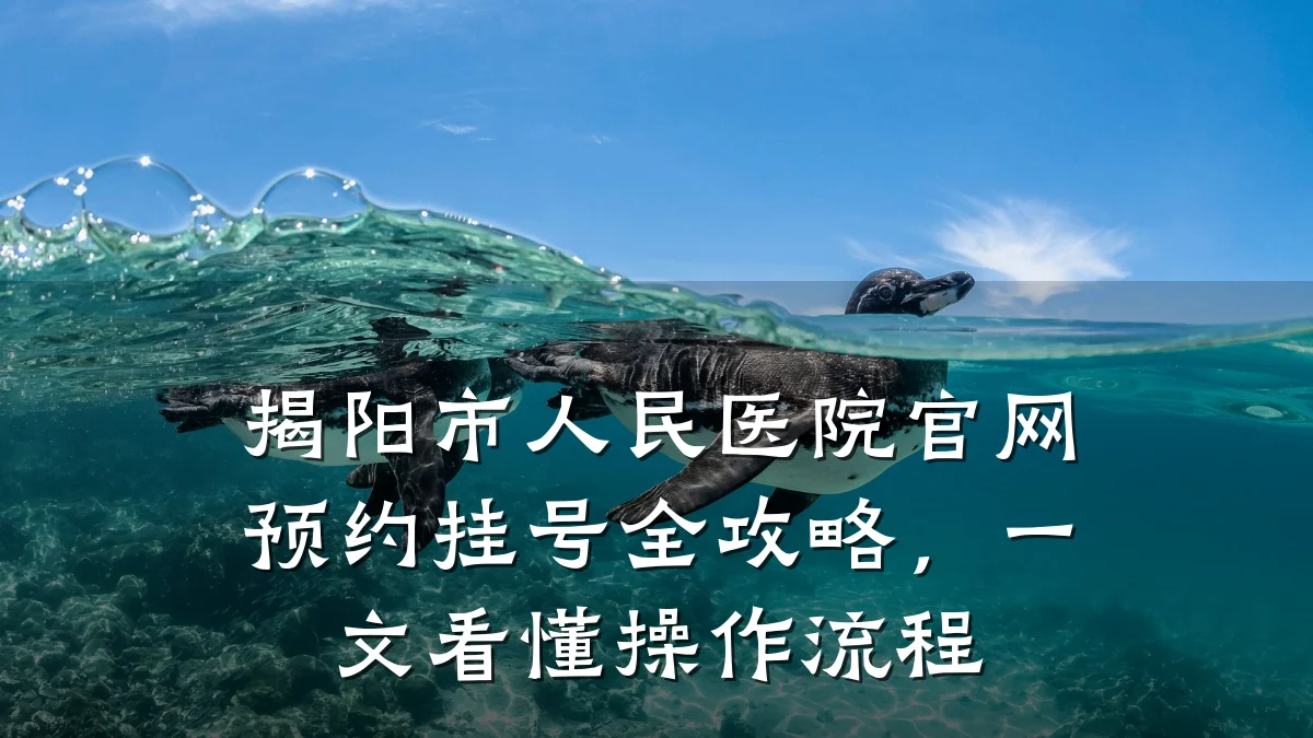 揭阳市人民医院官网预约挂号全攻略,一文看懂操作流程