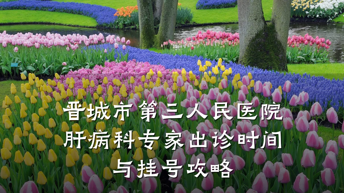 晋城市第三人民医院肝病科专家出诊时间与挂号攻略