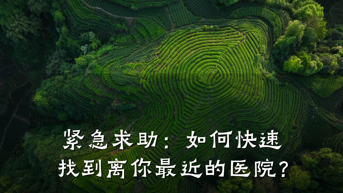 紧急求助：如何快速找到离你最近的医院？