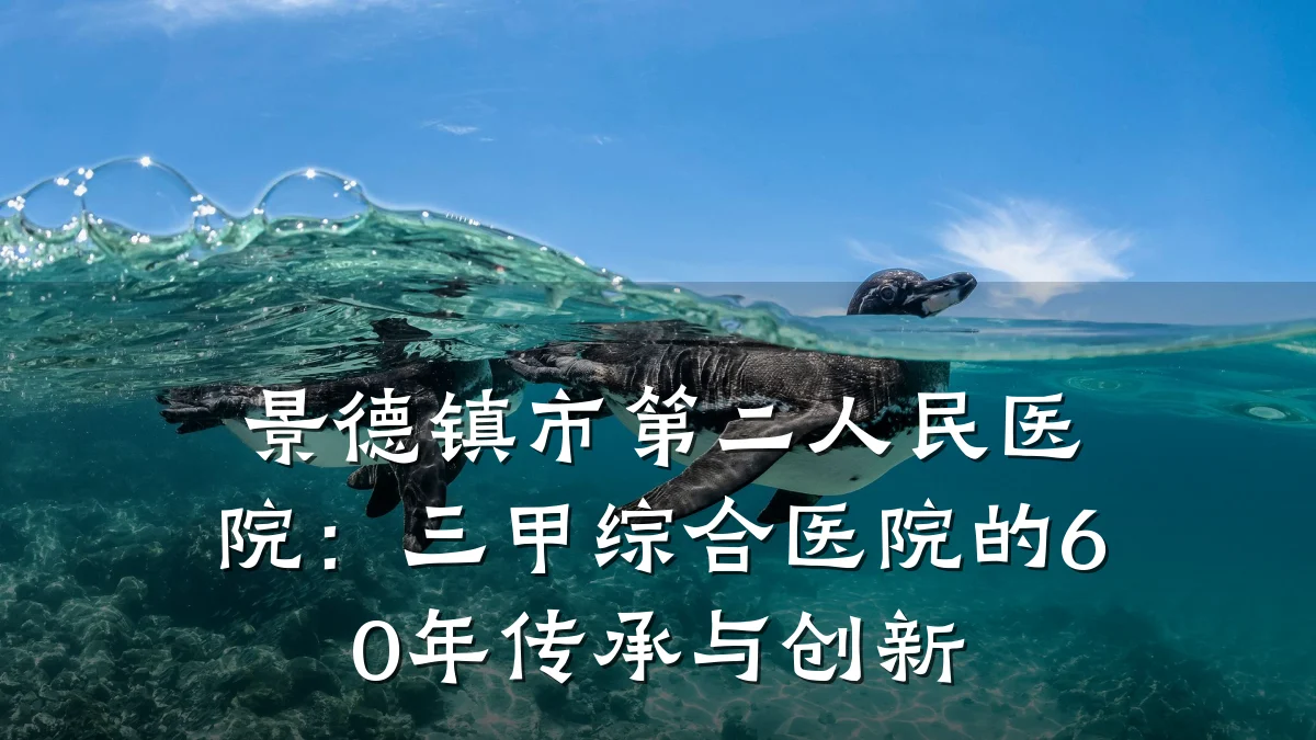 景德镇市第二人民医院:三甲综合医院的60年传承与创新