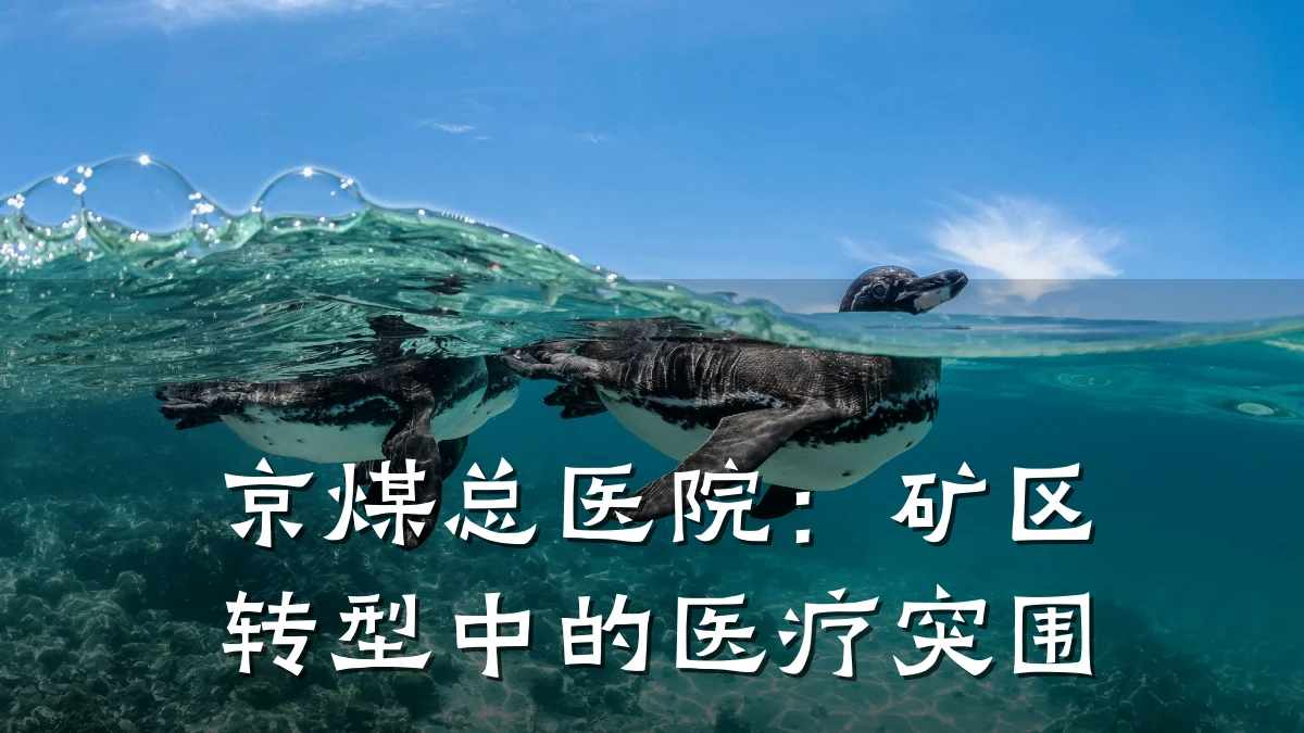 京煤总医院:矿区转型中的医疗突围