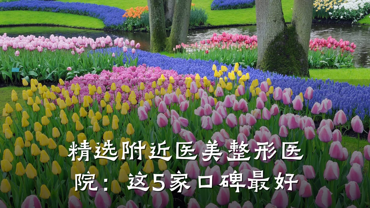 精选附近医美整形医院:这5家口碑最好