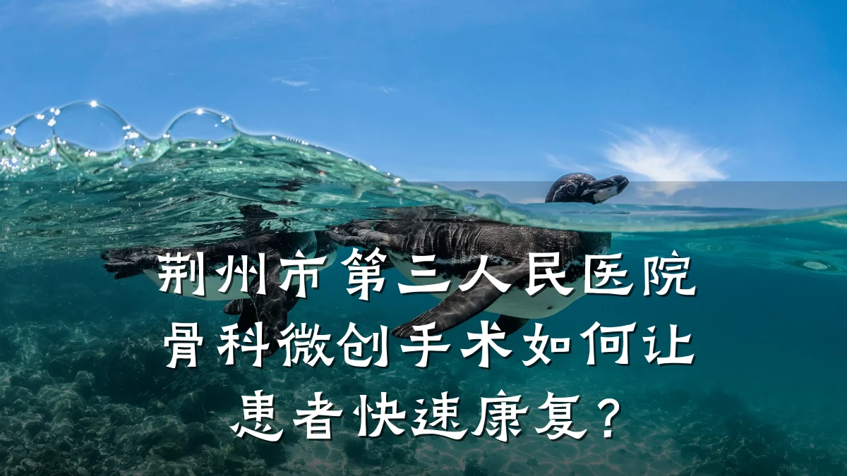 荆州市第三人民医院骨科微创手术如何让患者快速康复?