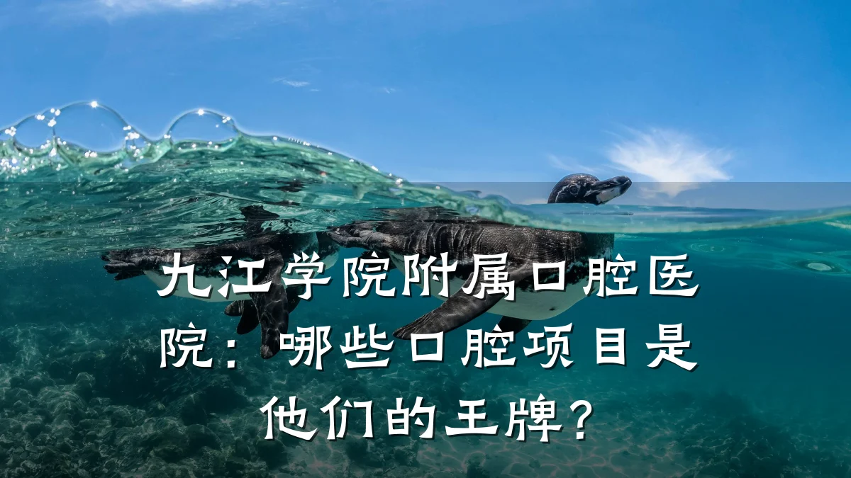九江学院附属口腔医院:哪些口腔项目是他们的王牌?