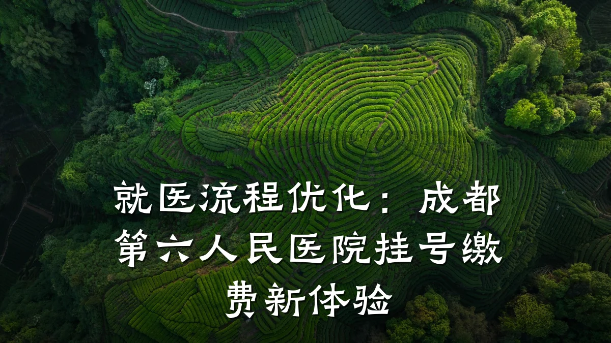 就医流程优化:成都第六人民医院挂号缴费新体验