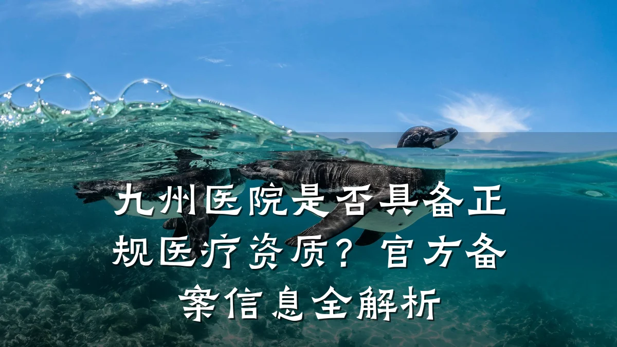 九州医院是否具备正规医疗资质?官方备案信息全解析