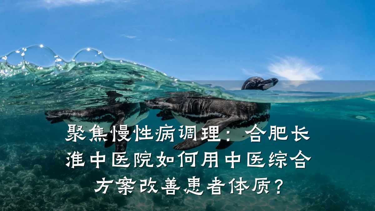 聚焦慢性病调理:合肥长淮中医院如何用中医综合方案改善患者体质?