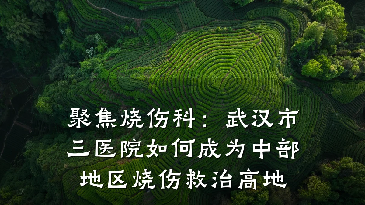 聚焦烧伤科:武汉市三医院如何成为中部地区烧伤救治高地