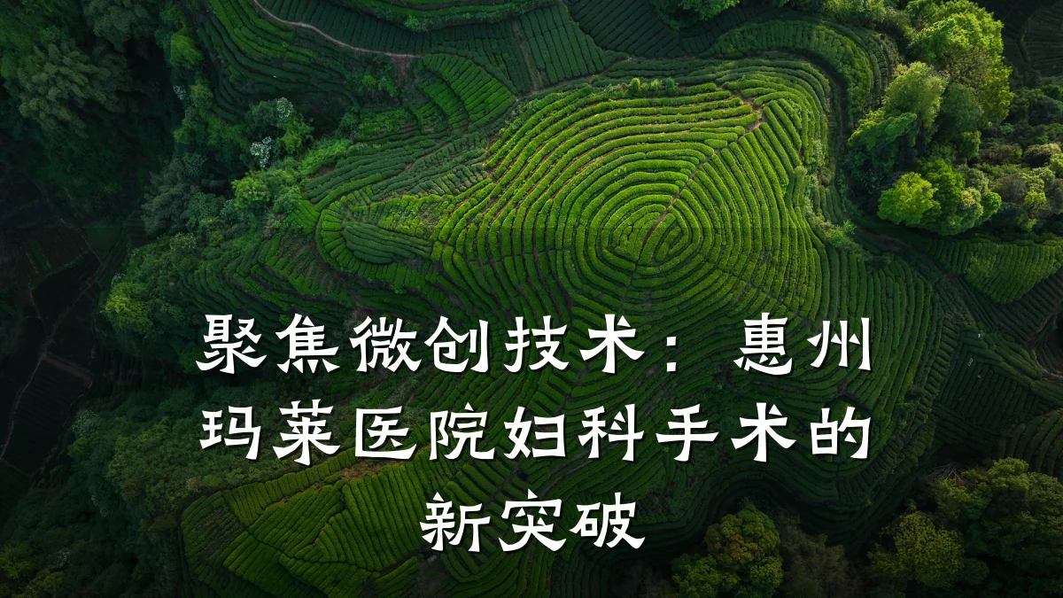 聚焦微创技术:惠州玛莱医院妇科手术的新突破