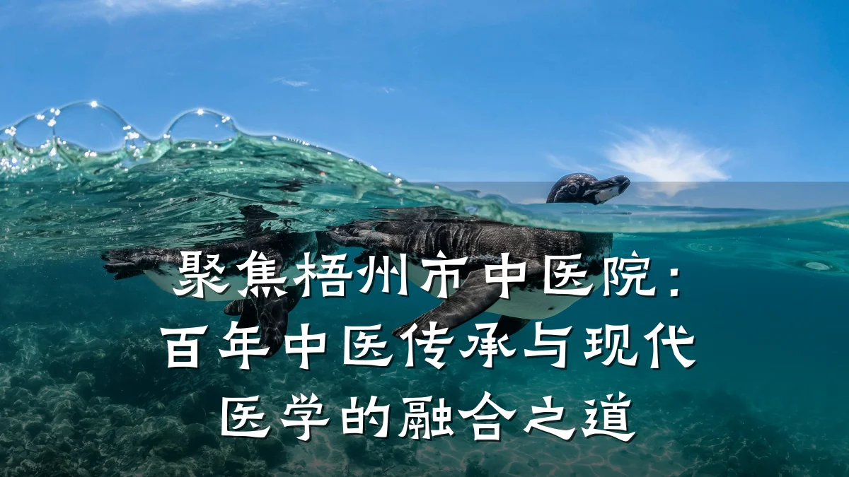 聚焦梧州市中医院：百年中医传承与现代医学的融合之道