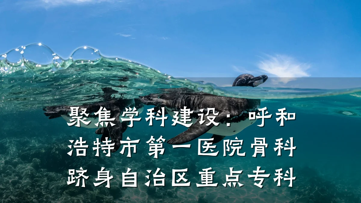 聚焦学科建设:呼和浩特市第一医院骨科跻身自治区重点专科