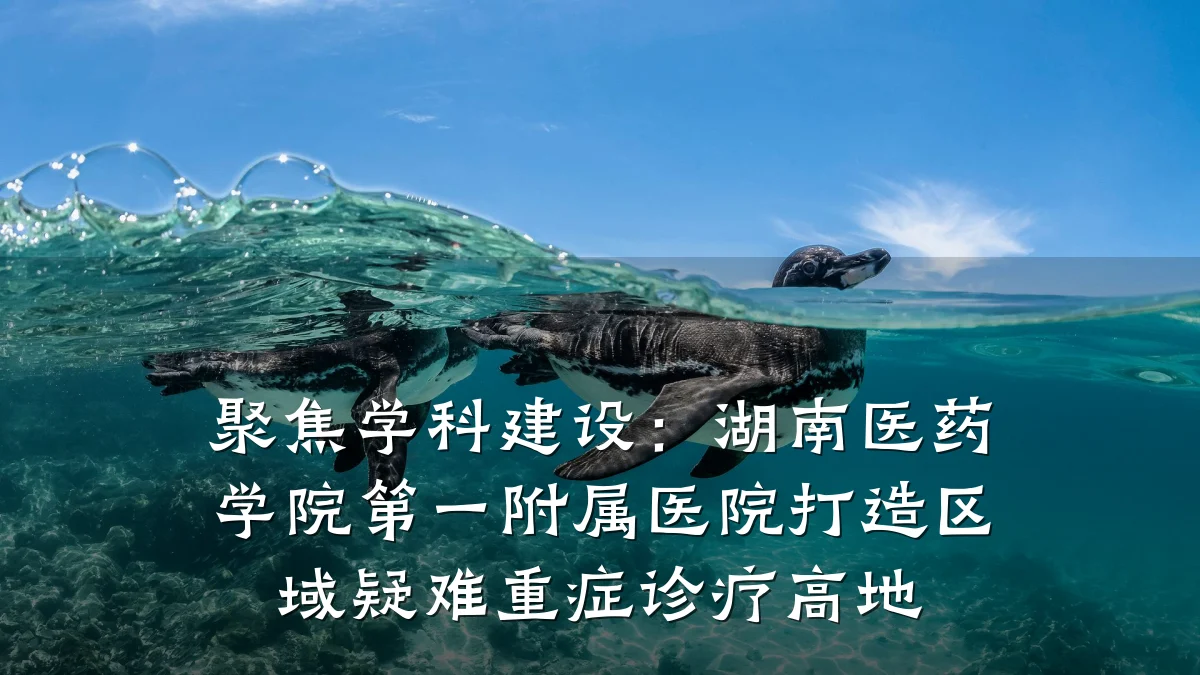 聚焦学科建设:湖南医药学院第一附属医院打造区域疑难重症诊疗高地