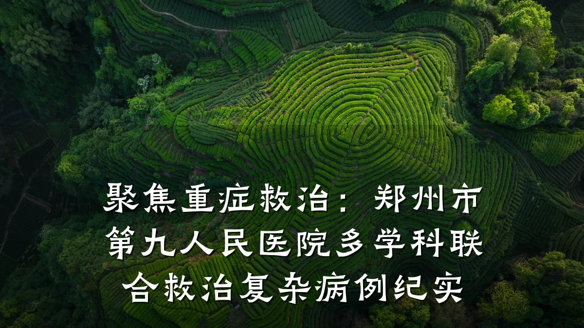 聚焦重症救治:郑州市第九人民医院多学科联合救治复杂病例纪实